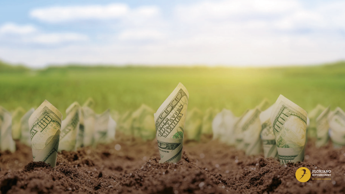 A Dicotomia dos Fundos de Investimento e do Produtor Rural
